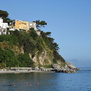 B&B Punta Vivara